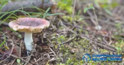 How Long Do Psilocybin Mushrooms Stay in Your System?