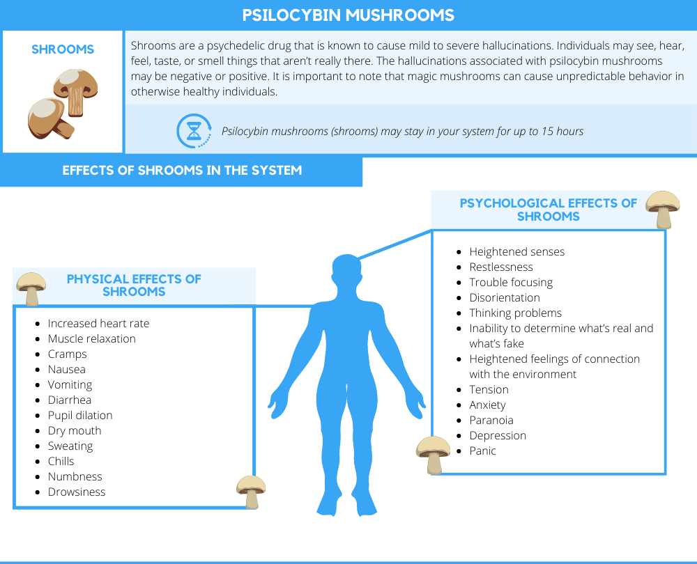 Can Mushrooms Be Detected in Drug Test?