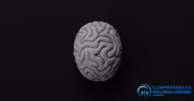 What Is Brain Mapping?